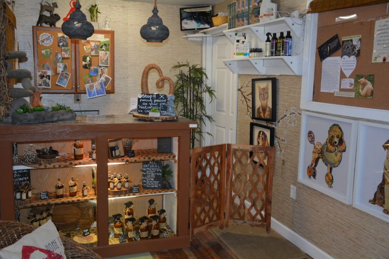 The Woodlands Pet Resort and Spa